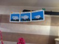 /album/fotogallery/foto-8-jpg/